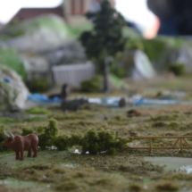 zoo-ii