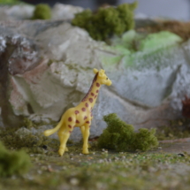zoo-iii