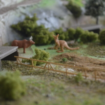 zoo-iv